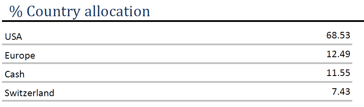 EQUITY ANG – Country allocation 08.2025