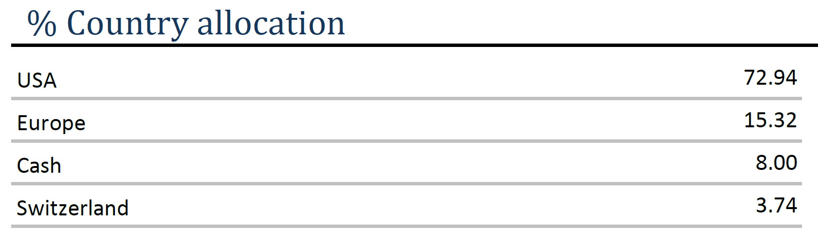 EQUITY ANG – Country allocation 11.2025