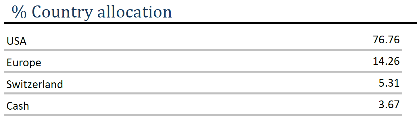 Equity 08.2026 – Country allocation
